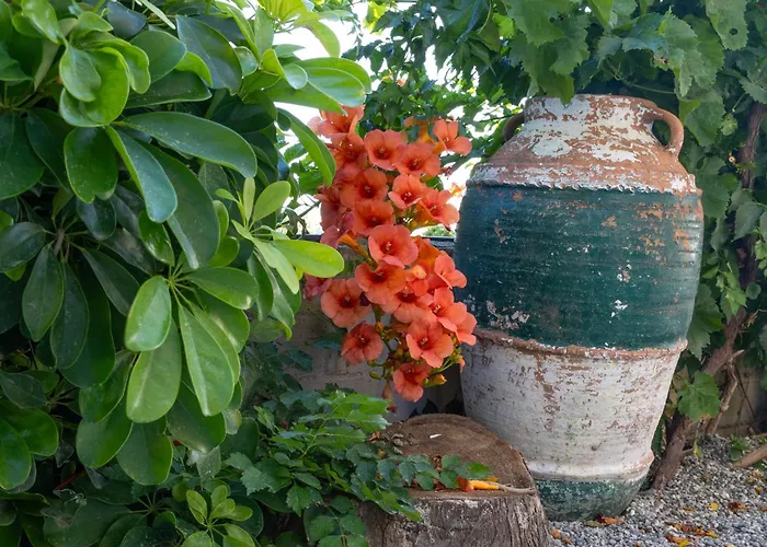 Nikargy Avra 公寓 Koskinou (Rhodes)